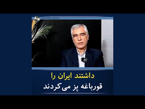 ظهره وند داشتند ایران را قورباغه پز می کردند