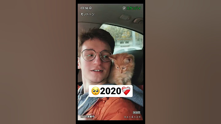 Симба младший сейчас и тогда…❤️‍🩹🥺