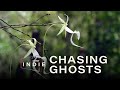 Solving the Mystery of the Ghost Orchid | Seeker Indie