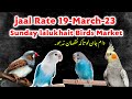 Today jaal rate Sunday March 19, 2023 #lalukhaitbirdsmarket #jaalrate #sohailahmedtv