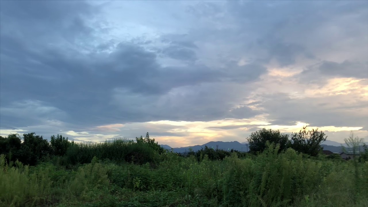 japanese pancake 6PM August 31 2019