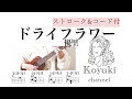 ドライフラワー優里