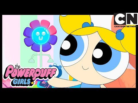 Суперкрошки | О, Дейзи! | Cartoon Network