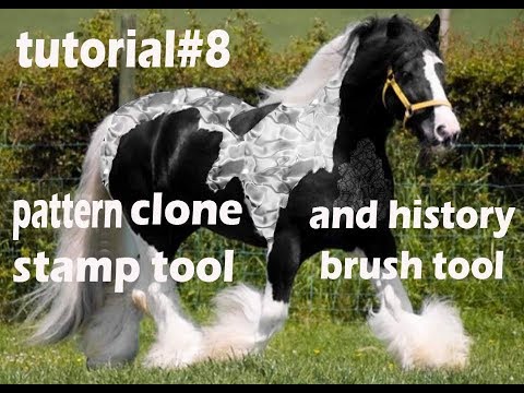 Adobe photoshop CS tutorial in urdu lecture# using pattern clone stamp tool,history brush tool