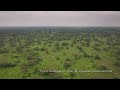 Lake Ndutu Serengeti National Park Tanzania 2024 Aerial Lake Ndutu Serengeti National Park Tanzania 2024 Aerial
