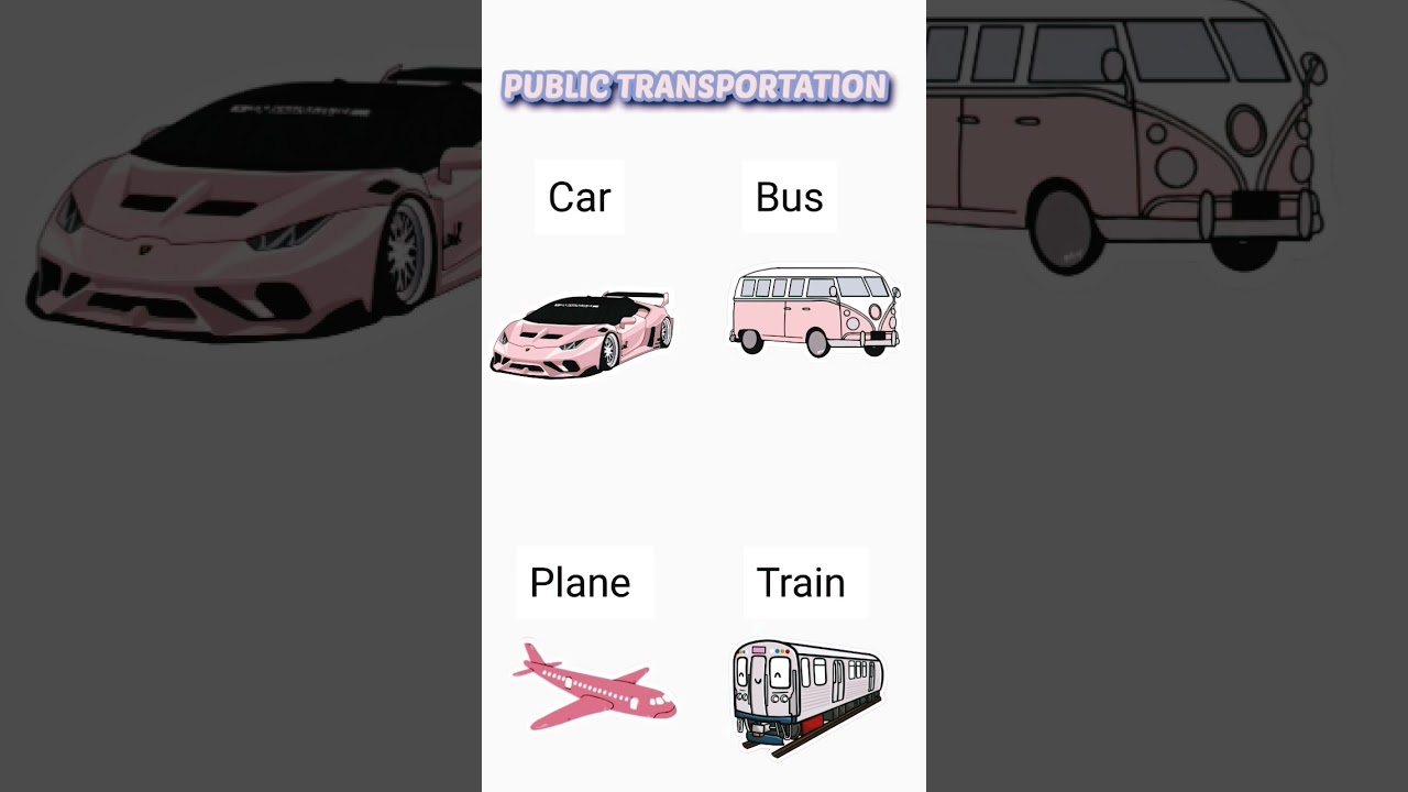 PUBLIC TRANSPORTATION 