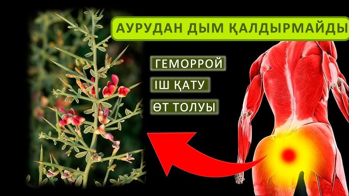 Саяжайда жетілген орыс әйелімен жыныстық қатынас Ең жақсы орыс порно онлайн