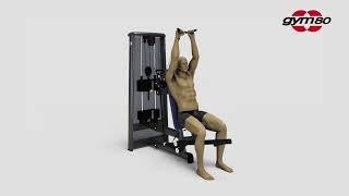 AOC3809＊an＊gyM 4317 PURE KRAFT Ab Swing - gym80 USA LLC
