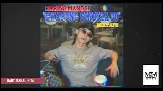 Haring Manggi - BABY MAHAL KITA