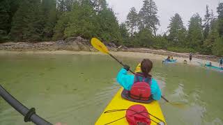 Kayaking in the Broken Islands, Ucluelet by Social Puppy 445 views 6 years ago 1 minute, 56 seconds