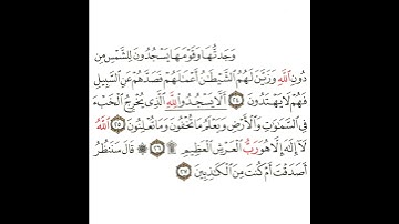 سورة النمل 8 القسم الثامن تكرار كيفي من .. وجدتها وقومها يسجدون للشمس من دون الله .. إلى .. الكاذبين