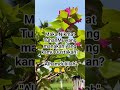 Nikmat Allah TDK Pernah Kurang Tapi Rasa Syukur Kita Lah Yg Kurangрџ Ірџ Џ Nikmat Allah TDK Pernah Kurang Tapi Rasa Syukur Kita Lah Yg Kurangрџ Ірџ Џ