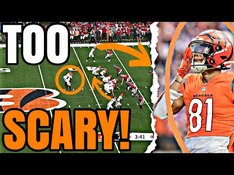 The Cincinnati Bengals