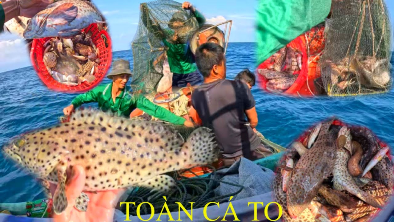 THỬ THÁCH “ lÚ HÀNG KHƠI “ | KHÔNG AI GIÁM ĐÁNH | TRẢI NGHIỆM CÙNG HOÀNG 