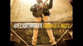 Video thumbnail of "Joe Louis Walker - As The Sun Goes Down ( Hornet's Nest ) 2014"