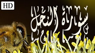 سورة النحل كاملة💛تلاوة تريح القلب بصوت جميل💛جرب سماع القرآن الكريم في الصباح وقبل النوم راحة نفسية😴