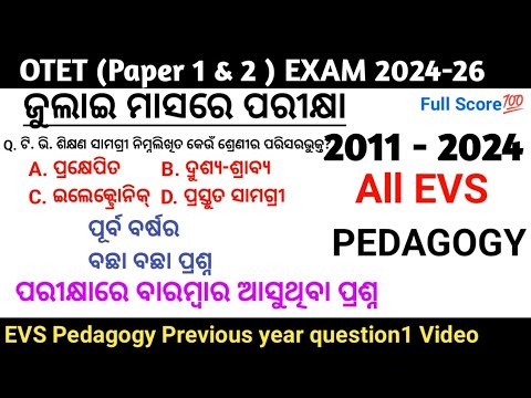 2011-2024 EVS pedagogy
