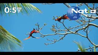 NATIA GEOGRAPHY INTERNACIONAL EN COSTA RICA