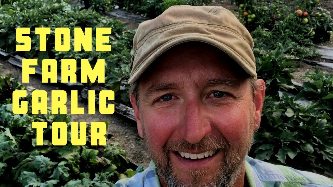 Stone Farm Garlic Farm tour with Paul 