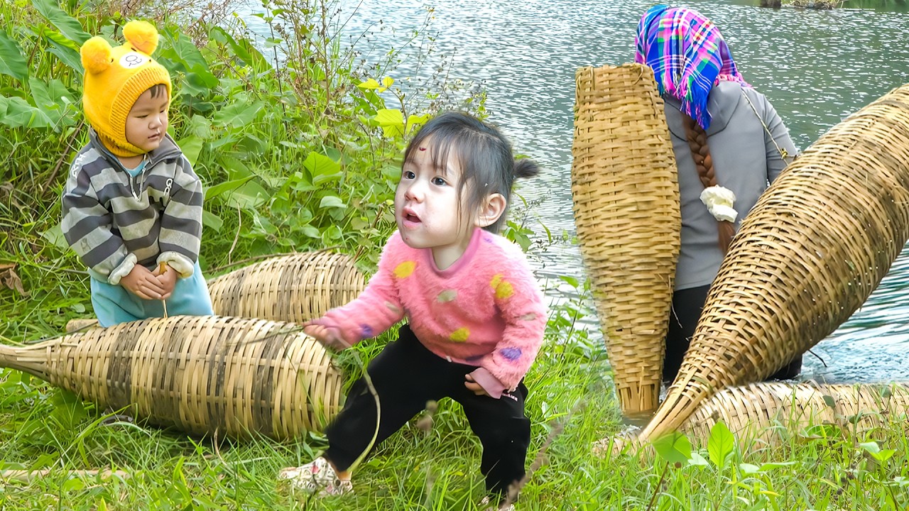 How to Harvest Weather Loach using Bamboo baskets to Sell at Market with Single mom and Kids