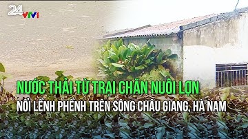 Nước thải từ trại chăn nuôi lợn nổi lềnh phềnh trên sông Châu Giang, Hà Nam | VTV24