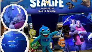 Sea Life Aquarium,Mall Of America