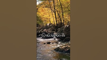 تلاوة خاشعة لسورة النجم #شحات #القرآن_الكريم  #القرآن #ستوريات_انستا #بدون_حقوق