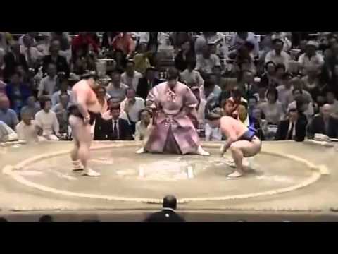 Popular Videos - Sumo Ring