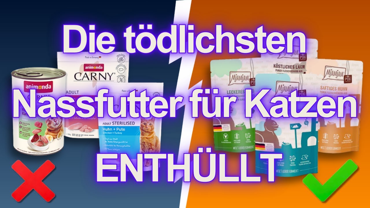 10 Nassfutter für Katzen, die du UNBEDINGT MEIDEN solltest und ein paar SICHERE