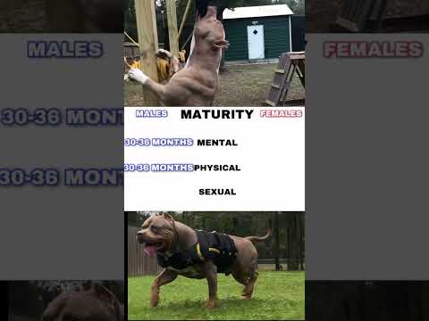 Male vs Female