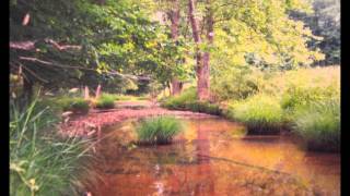 The Hills Of West Virginia - Gary Lee Tolley