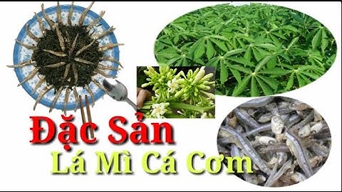 Món Lá Mì Nấu Với Cá Cơm đặc sản Tây nguyên | specialties of the Central Highlands people | Luom GL