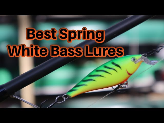 best lure for spring midwest white bass Bank Beater Bundle Catch more bass from the bank or river with the Bank Beater Bundlecomplete lure kit with jigs Bucket List Big White Bass