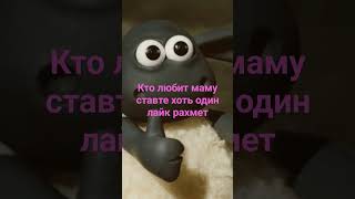 26 января 2024 г.