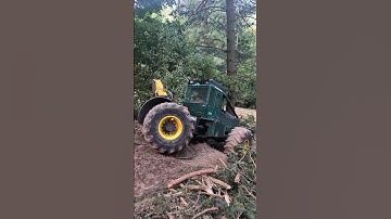 🌲💚 Timberjack in the Forest – Pure Logging Power 🚜 #timberjack #forestry #logging #tractor #farming