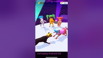 Groomer Run - All Levels Gameplay Walkthrough Android, ios ! New Update