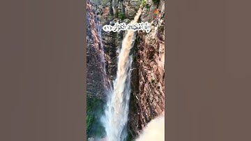 سورة الكوثر .علي الحذيفي ..