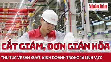 Cắt giảm, đơn giản hóa thủ tục về sản xuất, kinh doanh trong 16 lĩnh vực | Báo Nhân Dân