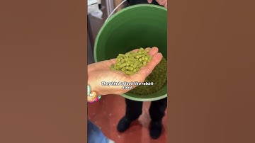 VIP Tour of The Tank Brewing Co.