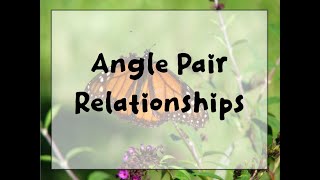 Celebrity Angle Pair Relationships Profile