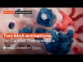 CASE STUDY. MoA animations about virus-based immunotherapy platforms for Candel Therapeutics (NA...