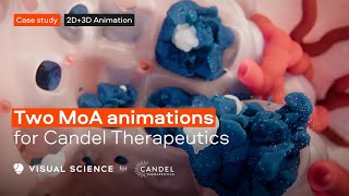 CASE STUDY. MoA animations about virus-based immunotherapy platforms for Candel Therapeutics (NA...