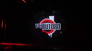 Gelo en Tributo80