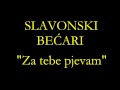 Slavonski Bećari - Za tebe pjevam