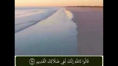 سوره يوسف القارئ حاتم المالكي