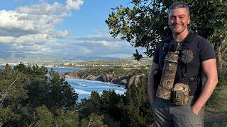 Cyprus Birdwatching Paphos (May 2026) 4K 60fps