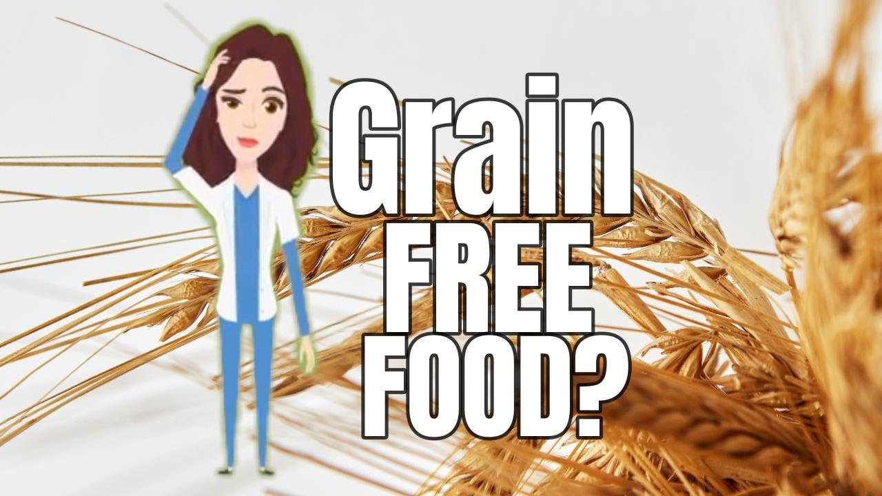 Should you feed Grain Free dog food? YouTube