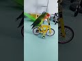 parrot learns to ride a bike! #shorts #youtubeshorts