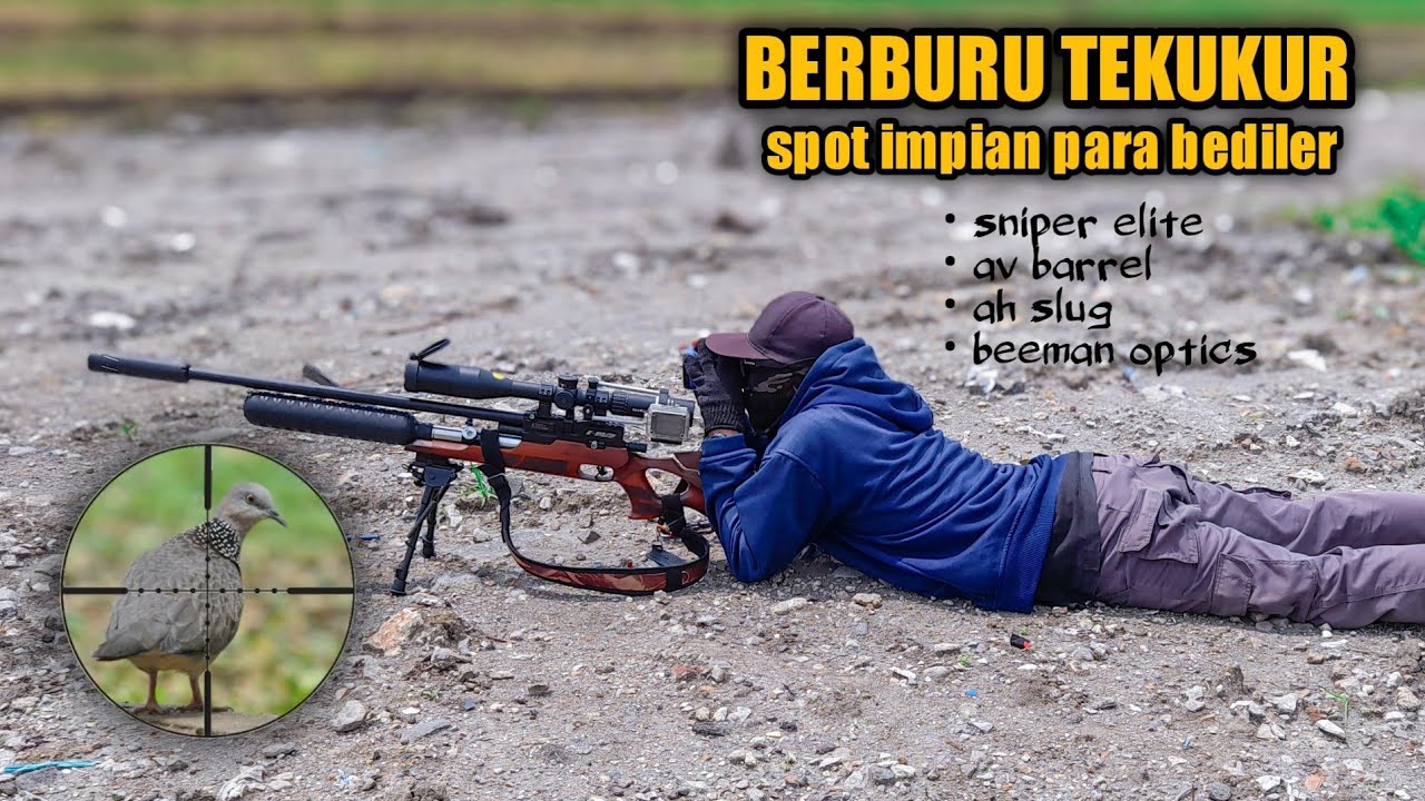 BERBURU TEKUKUR feat AV BARREL sangat mudah