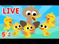 🔴 Super Simple Songs LIVE 🎶 | Kids Songs | Super Simple Songs